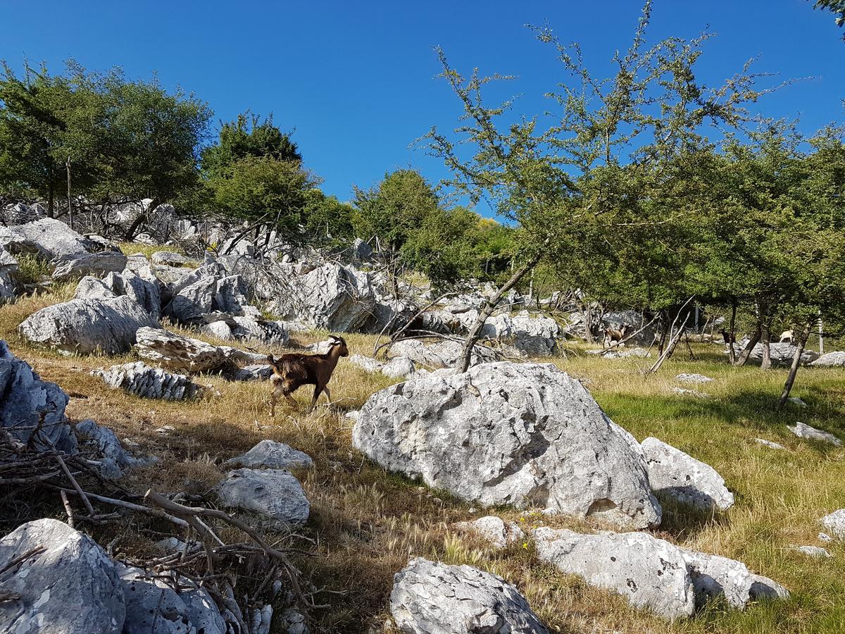 La Luna Nel Pozzo Riofreddo Εξωτερικό φωτογραφία